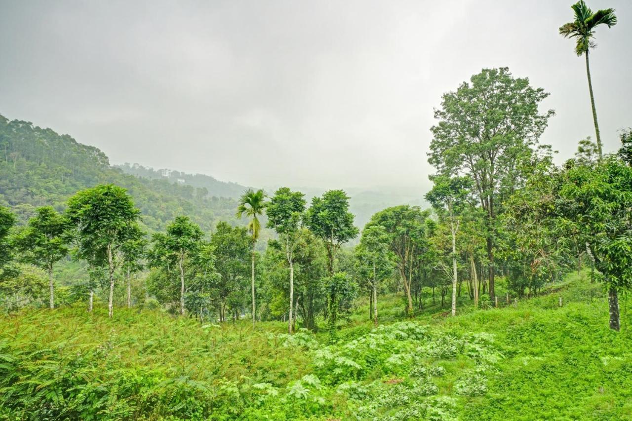 Oyo Flagship 81260 Star Lights Hotel Munnar Exterior foto